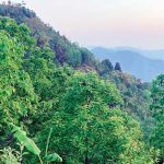 छिल्लीकोटमा मालागेडीको बास्नै हरर